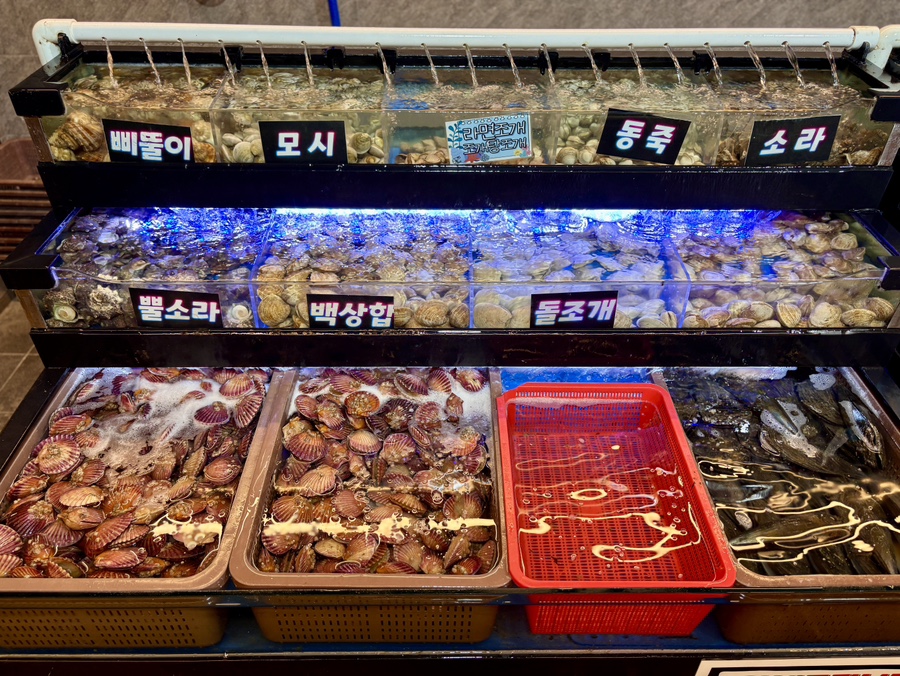 무한조개북 이미지