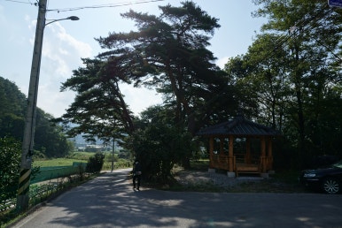 화산회관앞 이미지