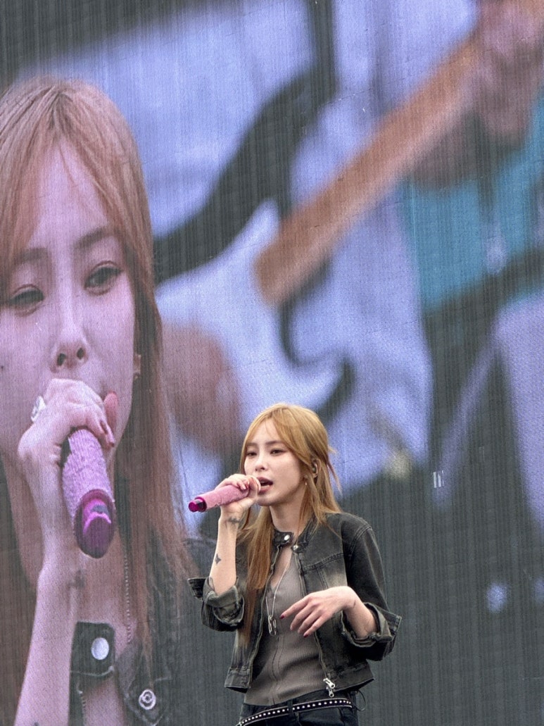 콘헤이즈 이미지