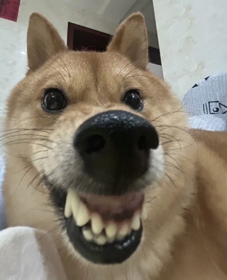 지윤기계 이미지