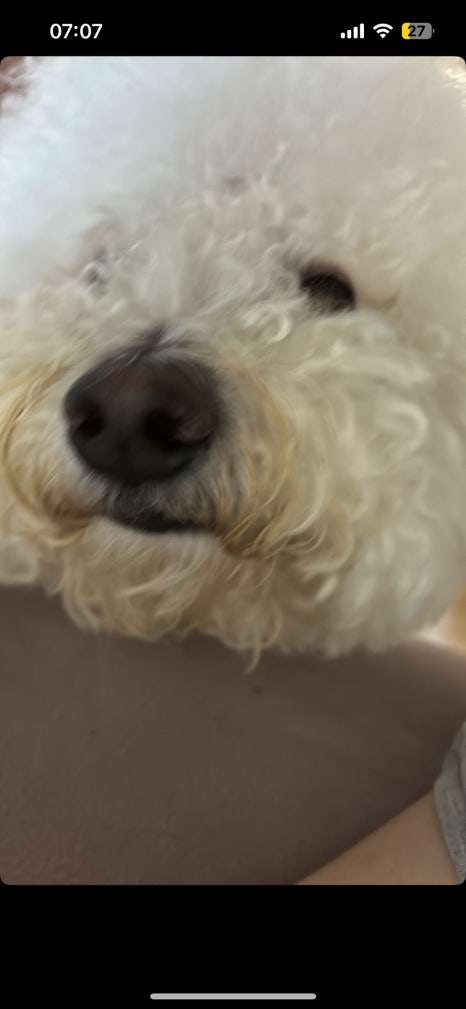 거참 이미지