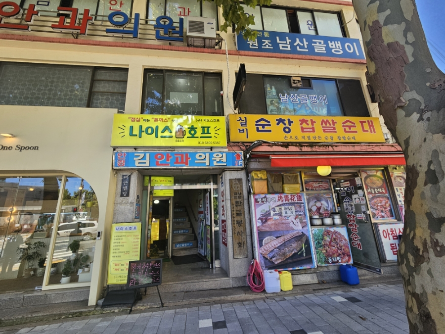 나이스호프 이미지