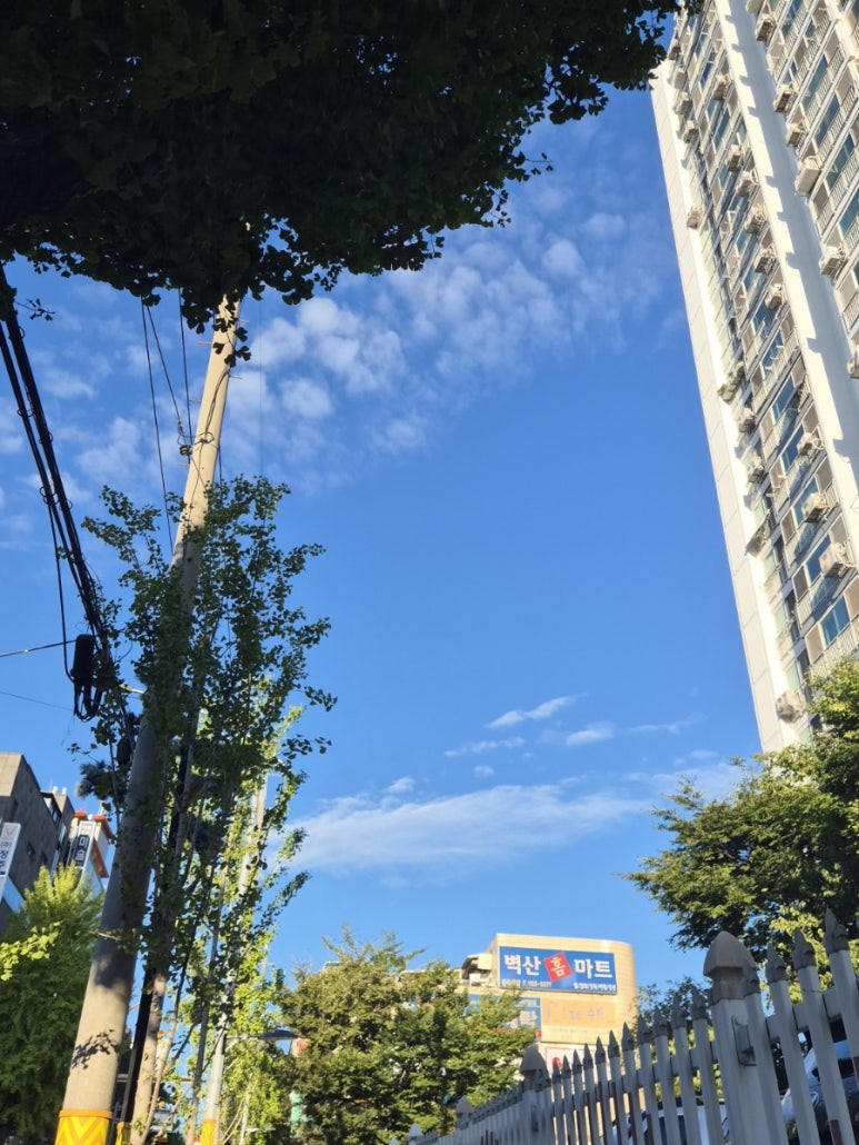 벽산홈마트 이미지