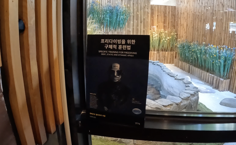 국제잠수교육협회 이미지