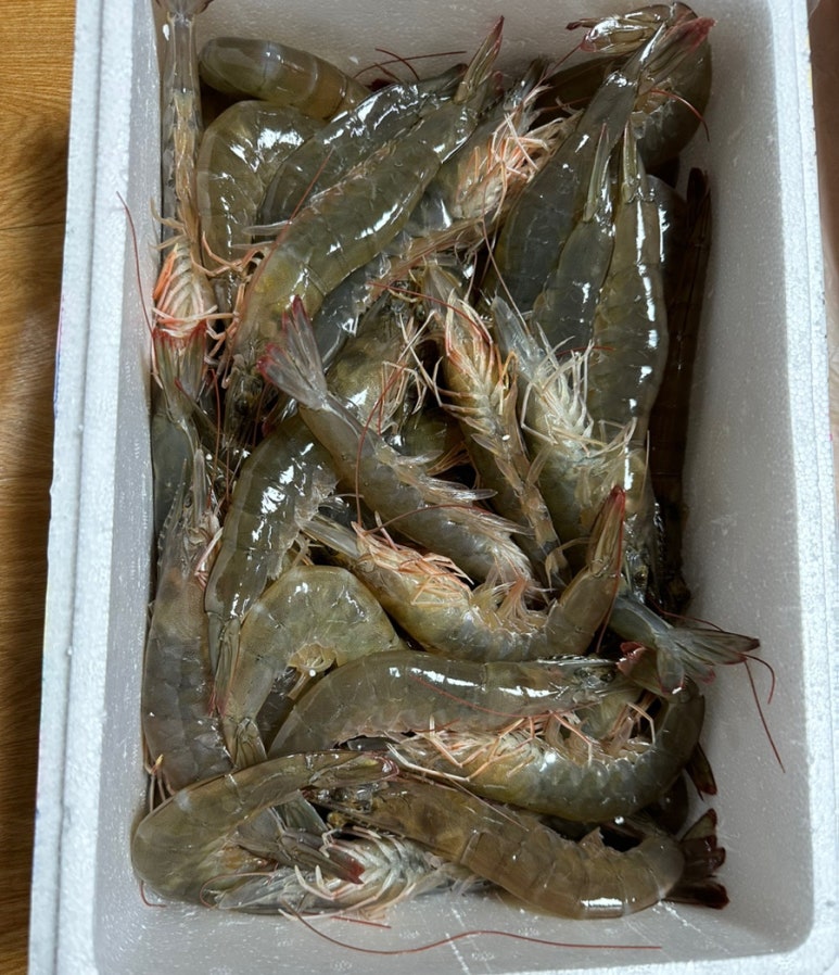청강유통 이미지