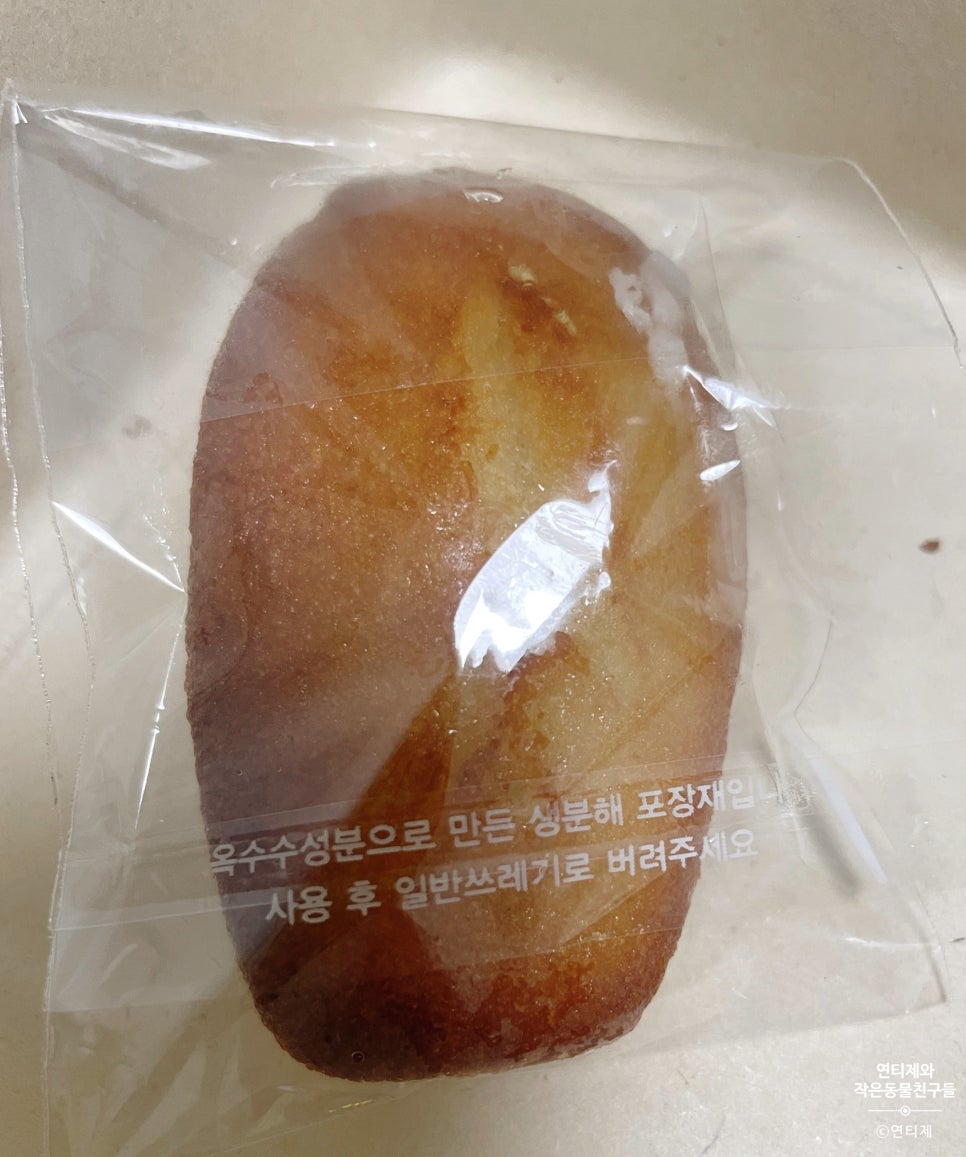 도날드앤썸머 이미지
