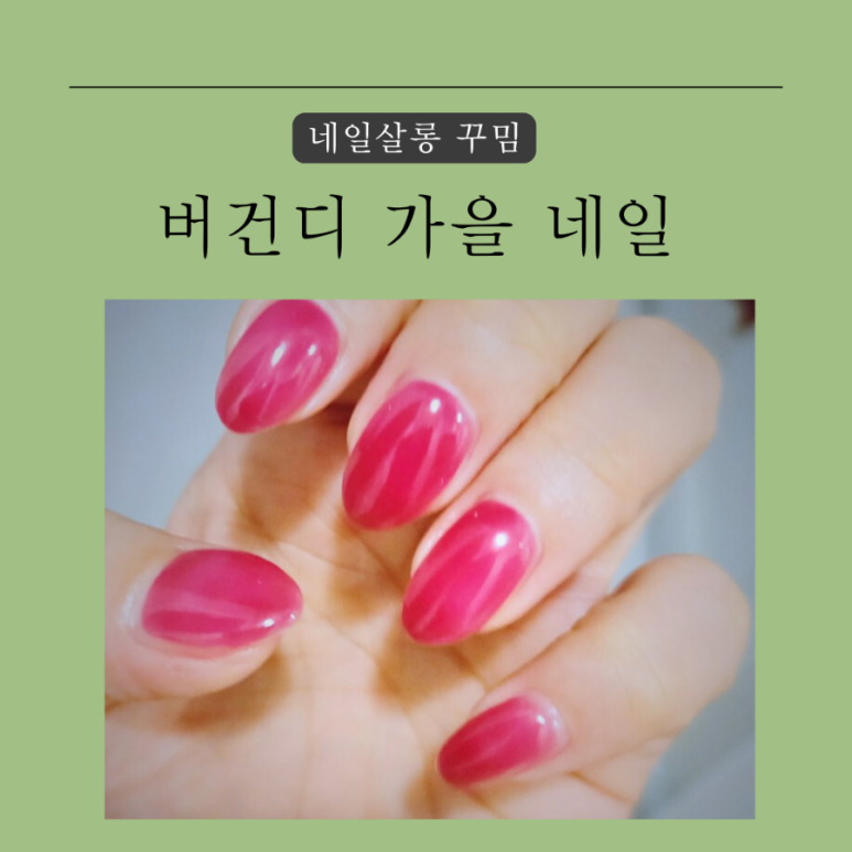 네일, 꾸밈살롱 이미지