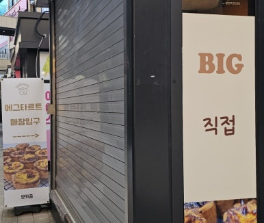 타르트곰 이미지