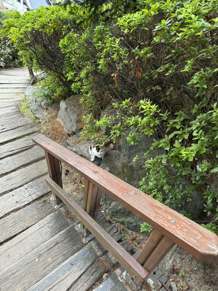 삼년산성송어장 이미지