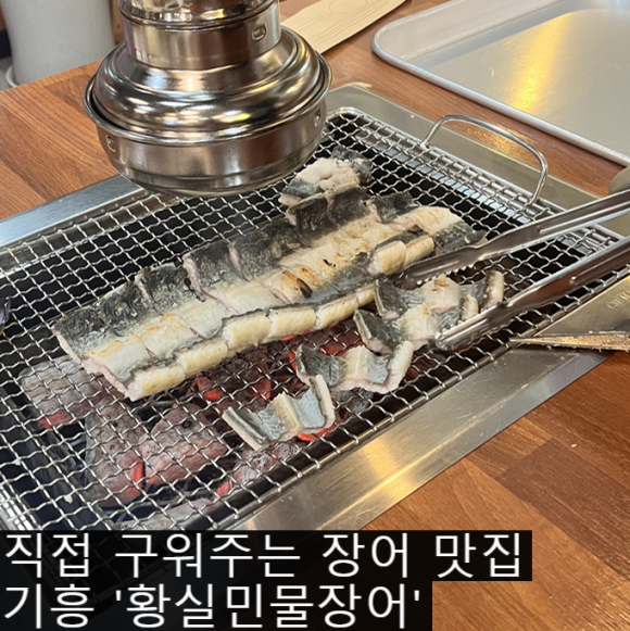 황실민물장어 이미지
