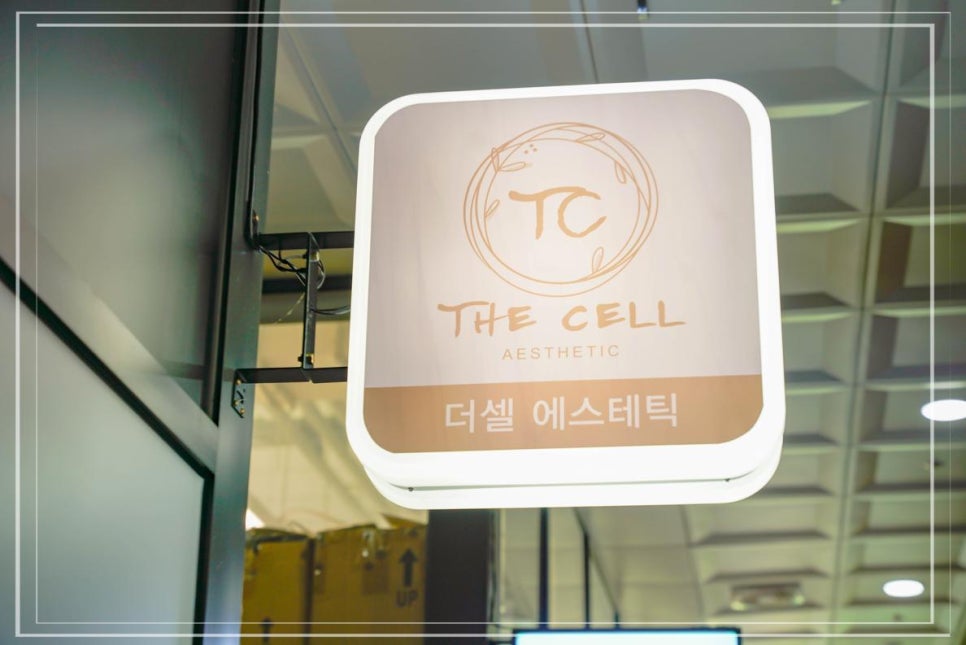 더셀주 이미지