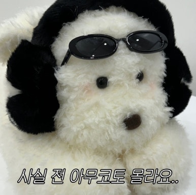 와이드스텝 이미지