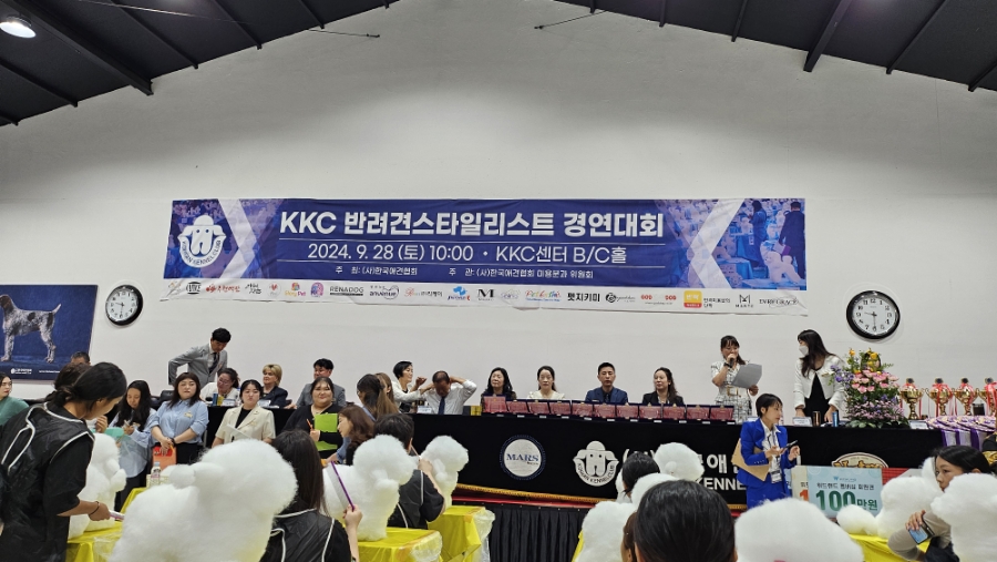벨라루시애견미용학원 이미지