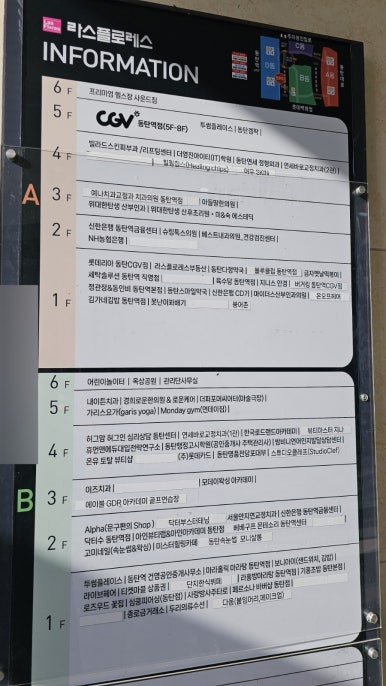 타르트곰 이미지