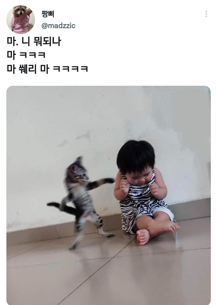 써티올테니스 이미지