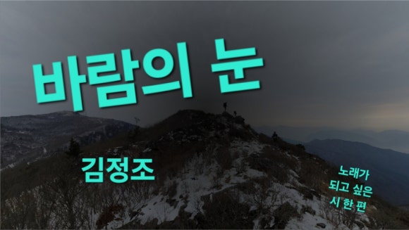 김정조 이미지