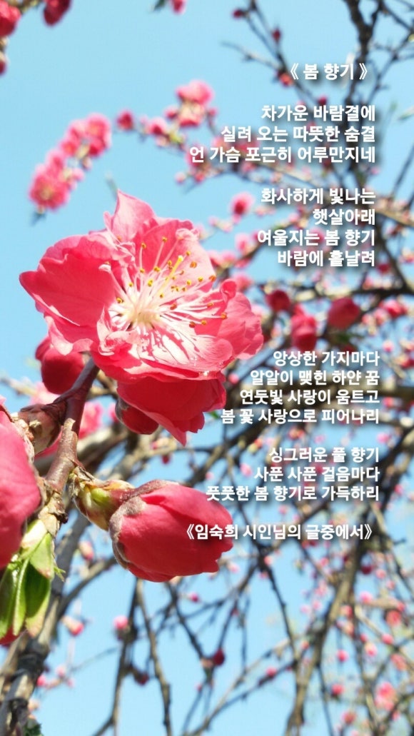 로타리이발관 이미지