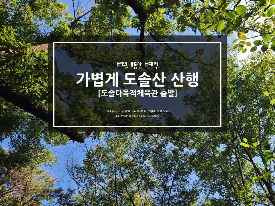 도솔다목적체육관 이미지