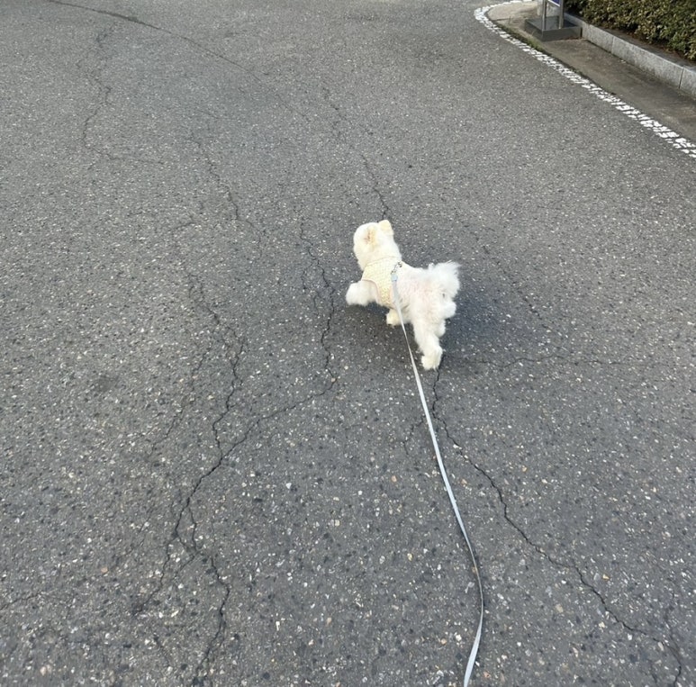 오씨오씨 이미지