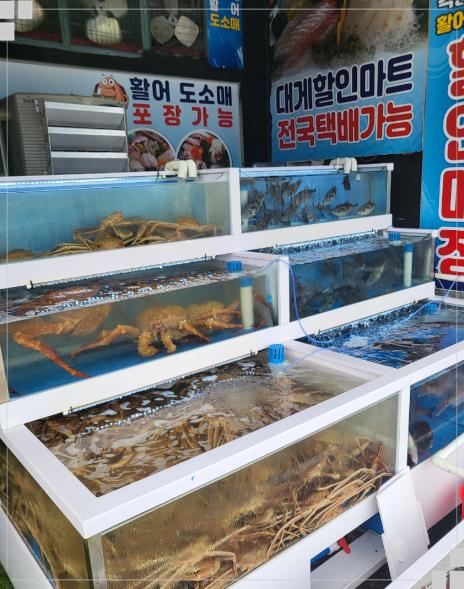 게간지 이미지