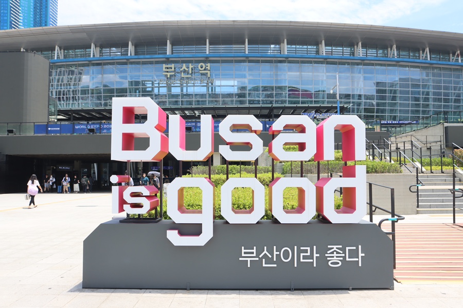 형제돼지 이미지