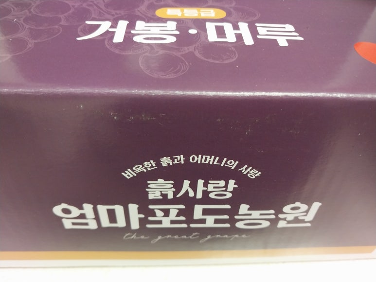 엄마사랑농원 이미지