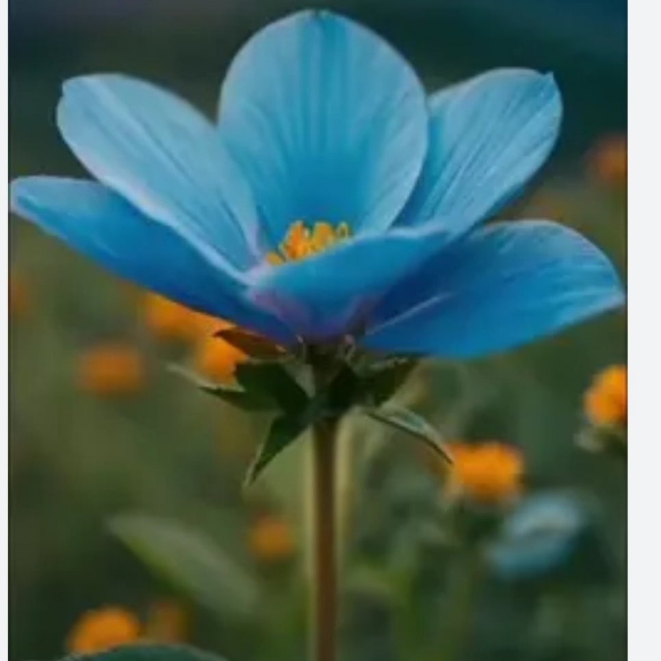 가장행복한순간을 이미지