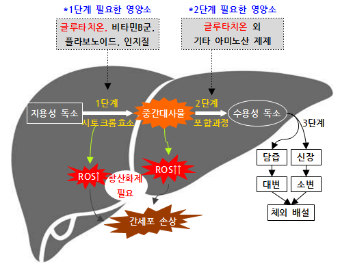 재하수산 이미지