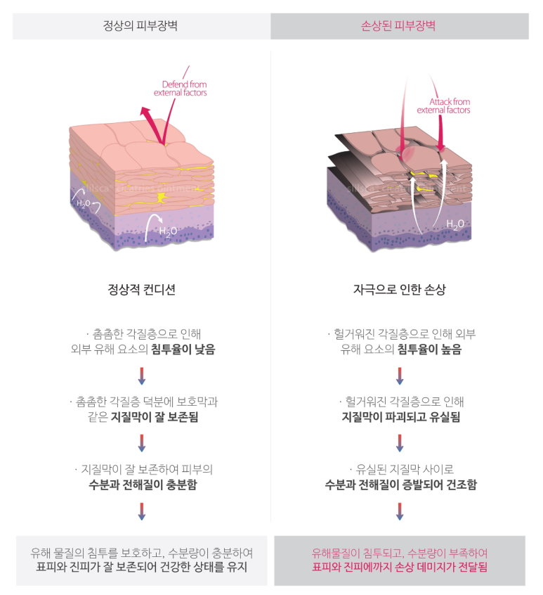 리뮤즈 이미지