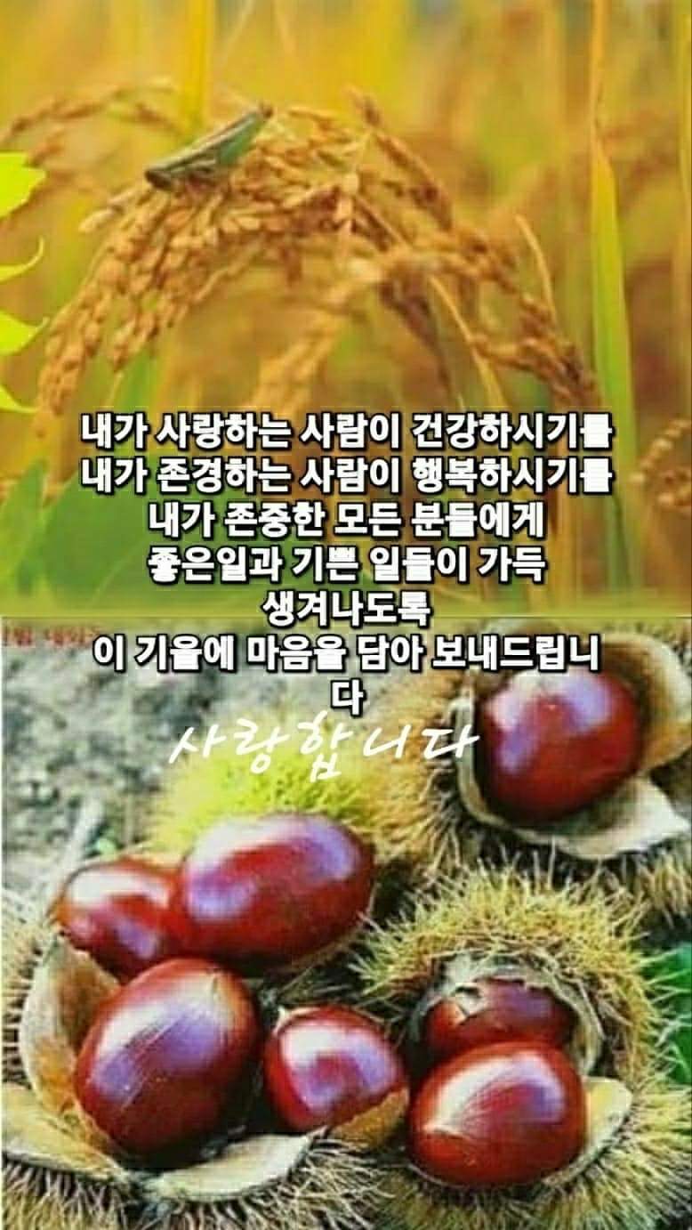 푸른잎사귀 이미지