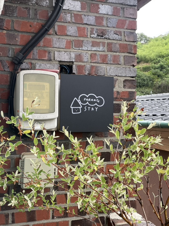 스테이파랑 이미지