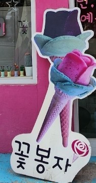 꽃봉자 이미지