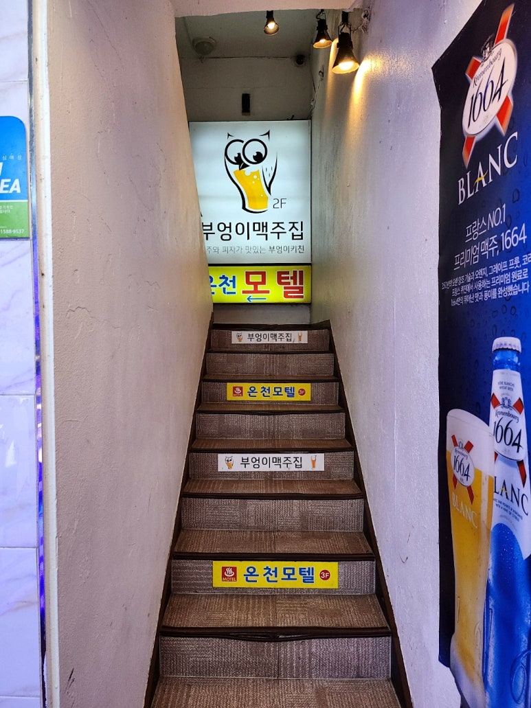 킹노래빠 이미지