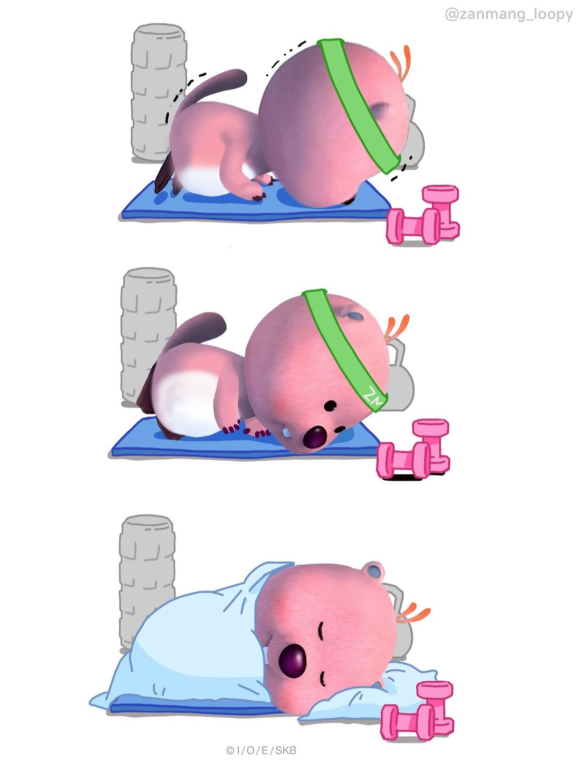 포토플러스 이미지