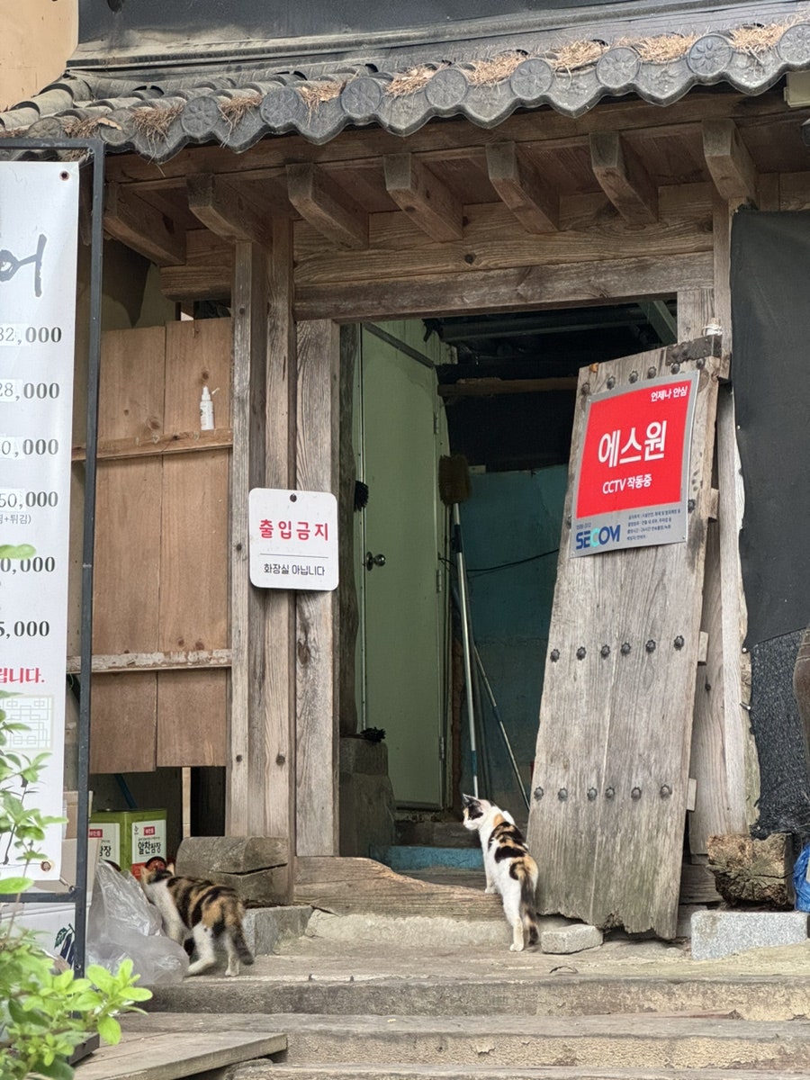 삼년산성송어장 이미지