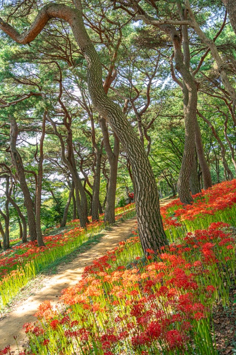 사천만회 이미지