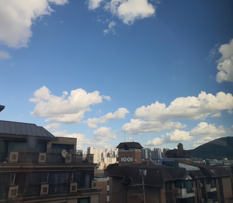 양재위드피아노학원 이미지