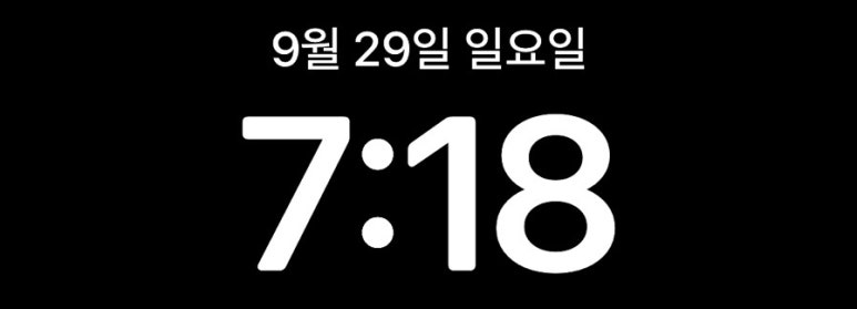 헤이드니 이미지