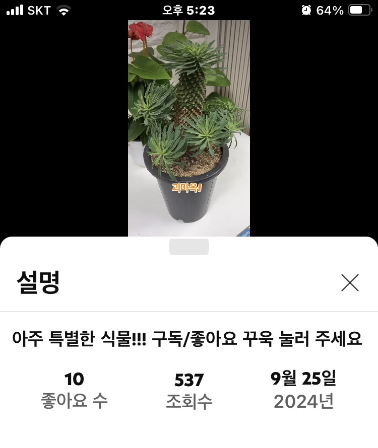 생활용품디씨마트 이미지