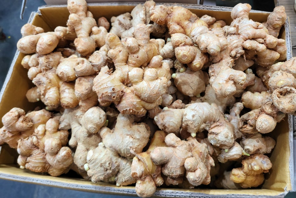 삼일농산 이미지
