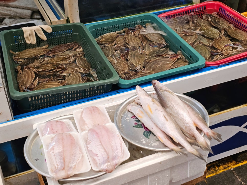 4742회센타 이미지