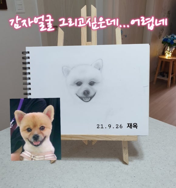 도로잉 이미지