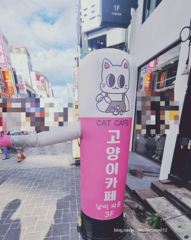 냥이싸롱 이미지