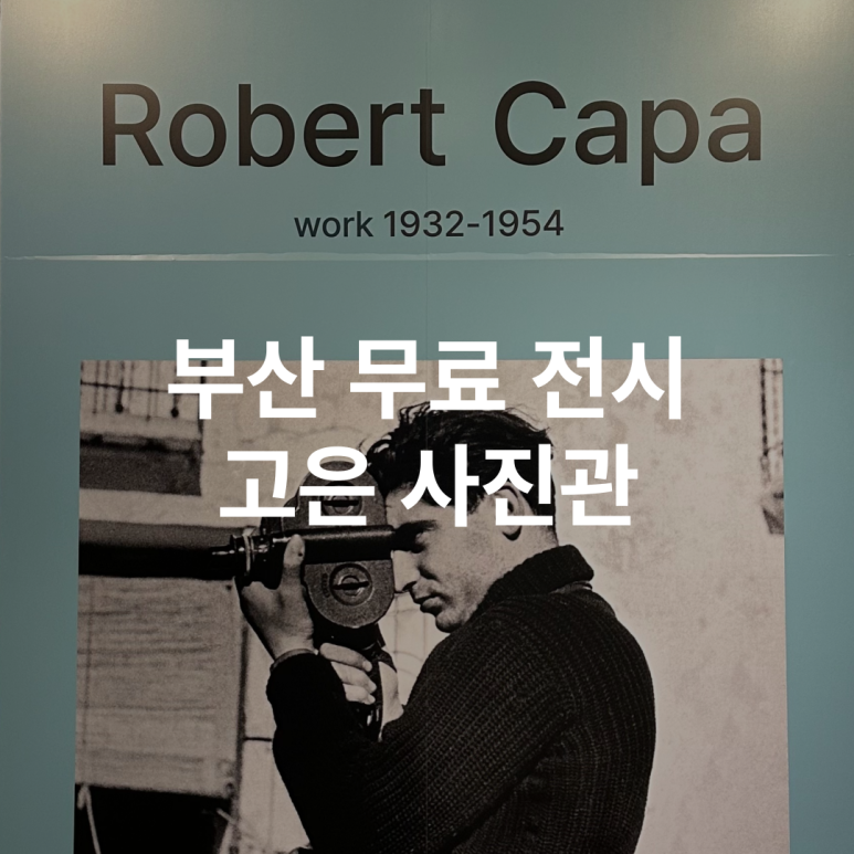 카파사진미술관 이미지