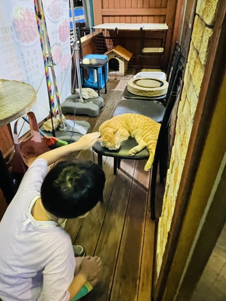 정다담족발 이미지