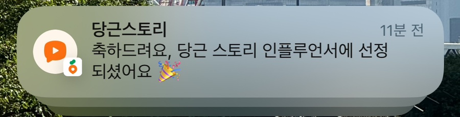 당플 이미지