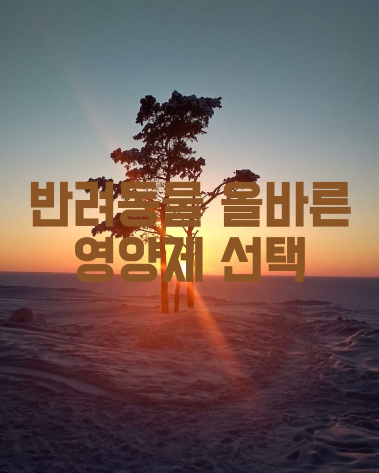 반려동물 올바른 영양제 선택