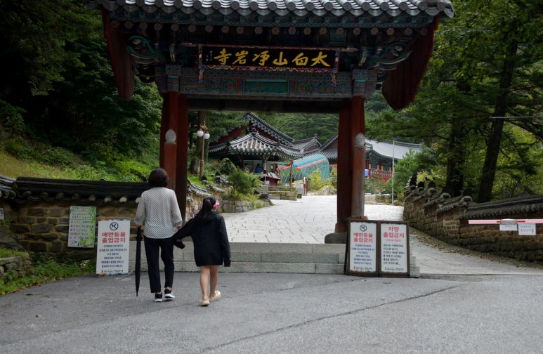 다오상회 이미지