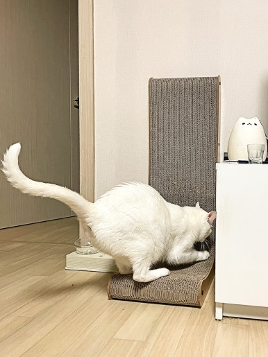 참치정육점인천남동점 이미지