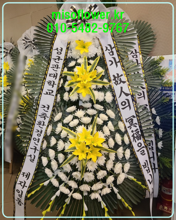 야탑동 351 (분당차병원) 이미지